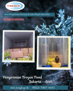 ekspedisi frozen jakarta aceh