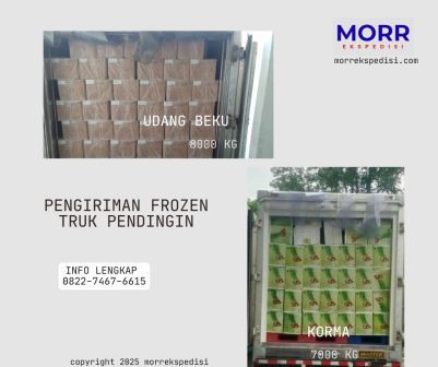 muatan frozen