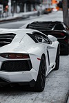 cars, super cars, luxury cars, lamborghini, corvette, black car, white car, sports cars, exotic cars, daytime, parked cars, car row, black lamborghini, white lamborghini, black corvette, high-end vehicles, automobile, car collection, outdoor